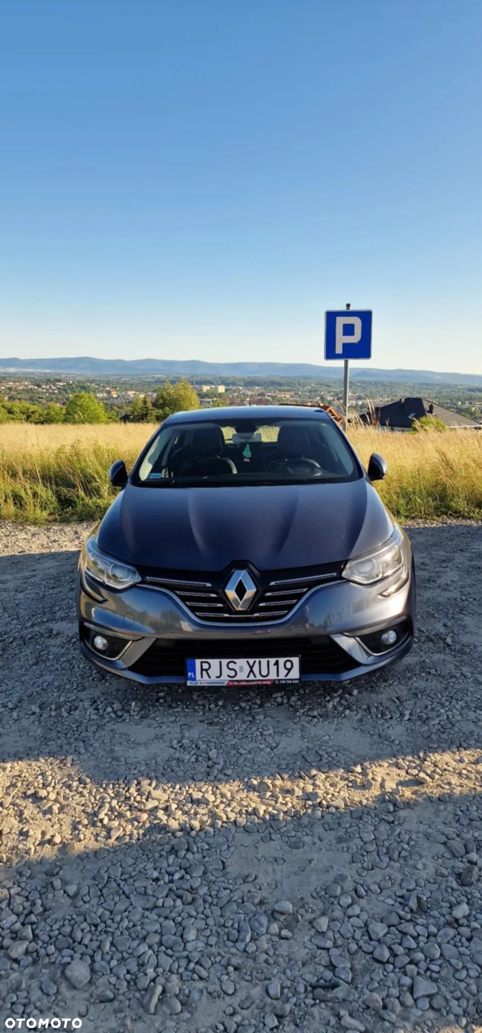 Renault Megane - 1