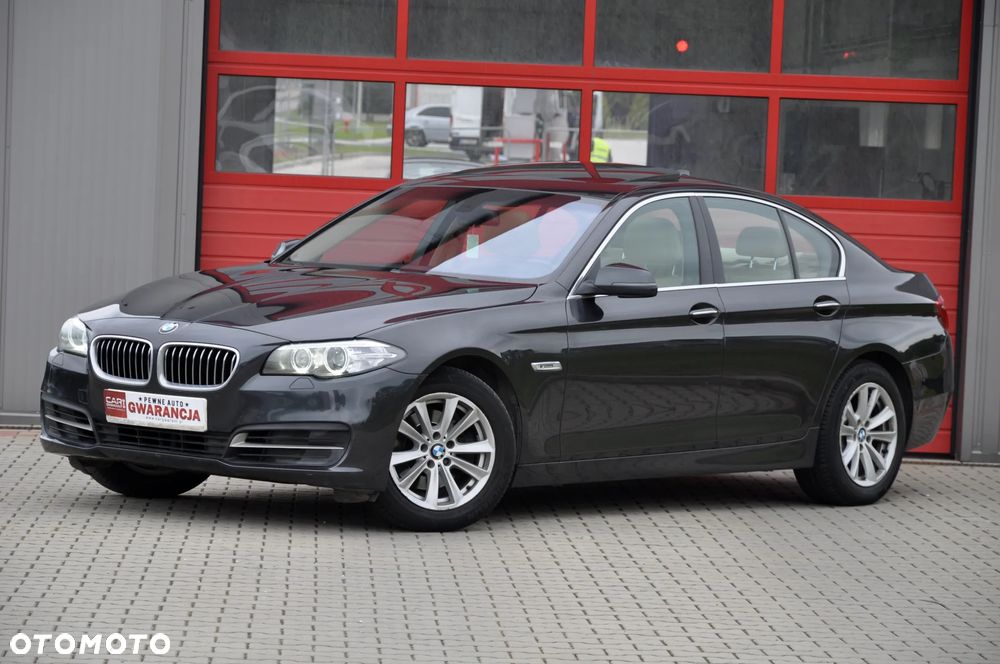 BMW Seria 5 520d Blue Performance - 2