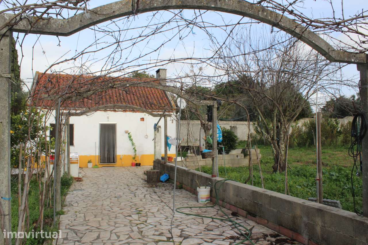 Moradia T2 com Jardim no Campo - Grande imagem: 2/9