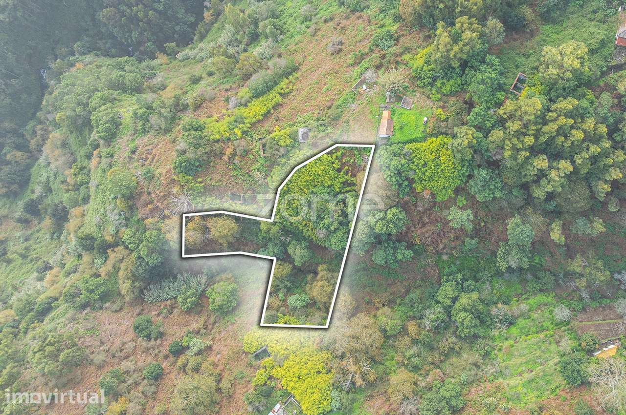 Terreno Rustico - localizado em Santa Cruz - Grande imagem: 3/7