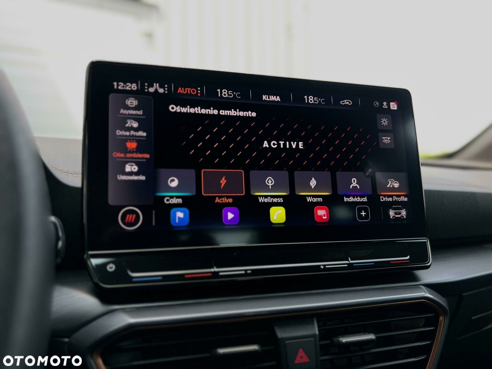 Cupra Formentor 2.0 TSI 4Drive VZ DSG - 34