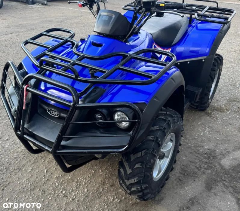 Kawasaki Brute Force - 9