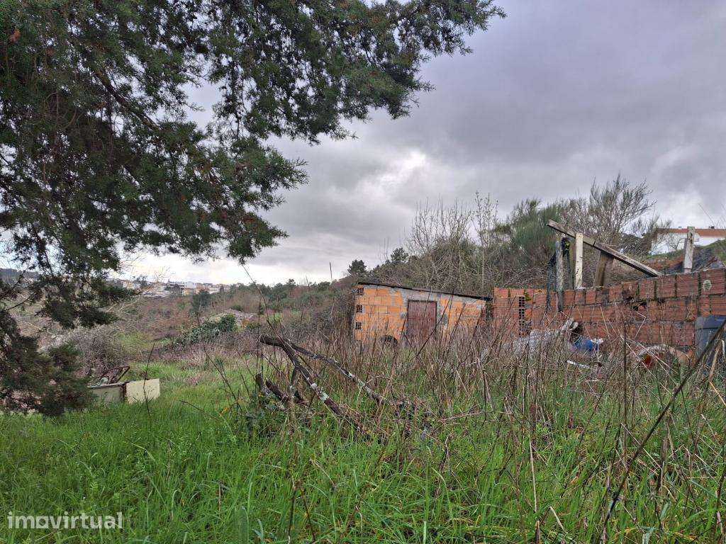 Quinta Localizada em Trancoso - Grande imagem: 5/12
