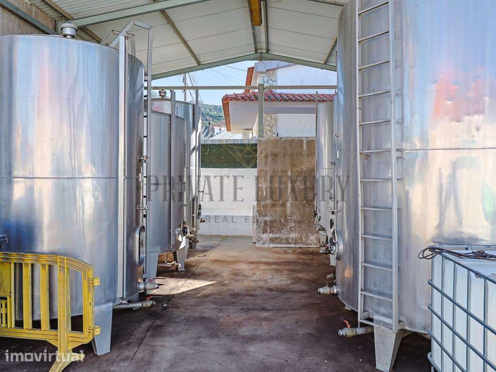 Adega Cabanas Azeitão - Grande imagem: 5/34