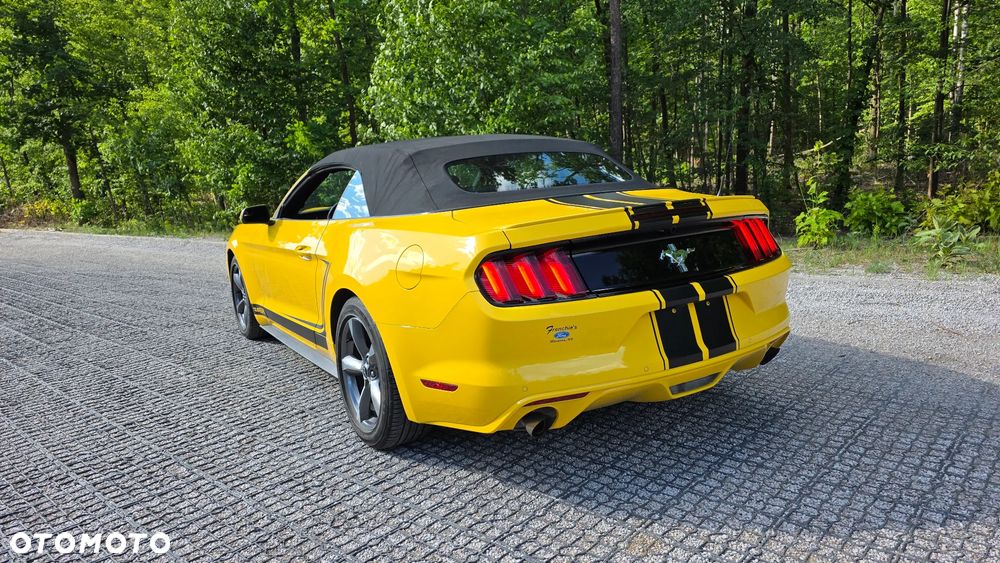 Ford Mustang 3.7 V6 - 11