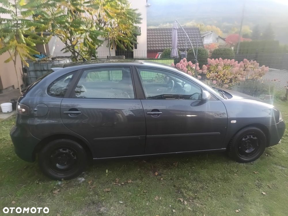 Seat Ibiza 2007 photo 5