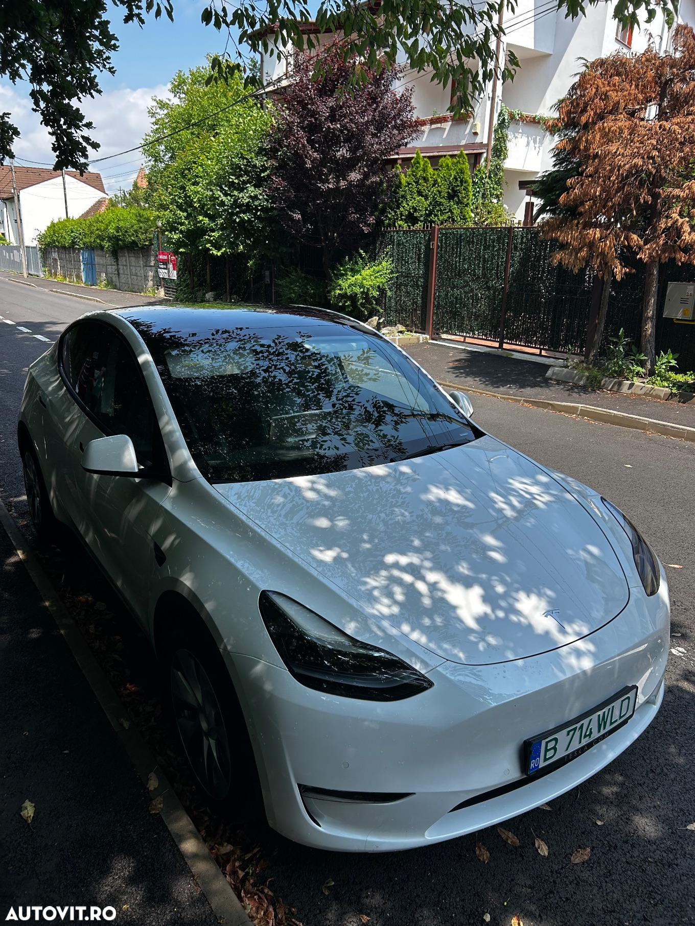 Tesla Model Y Long Range Dual Motor AWD - 17