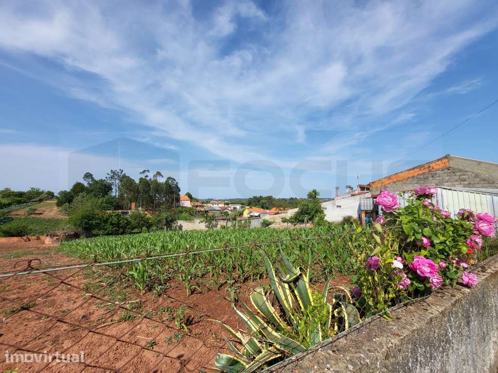 Terreno para construção de moradia - São João de Loure - Grande imagem: 2/4