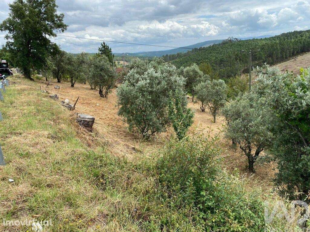 Quinta em Unhais da Serra de 70 m2 - Grande imagem: 3/7