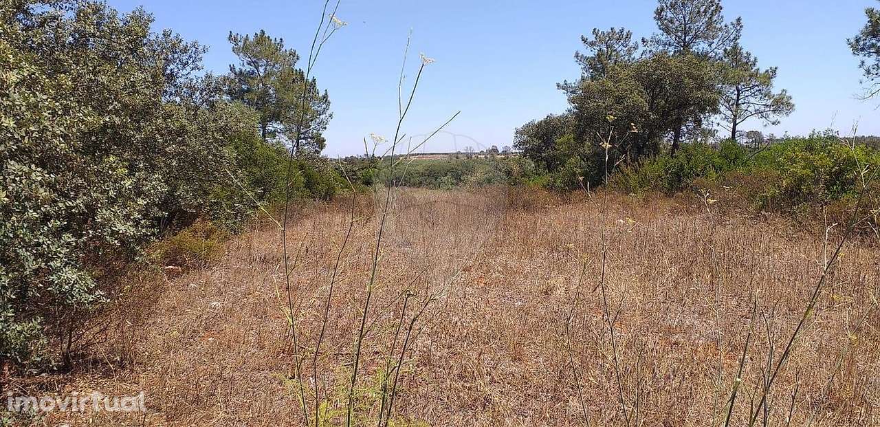 Terreno  para venda - Grande imagem: 4/8