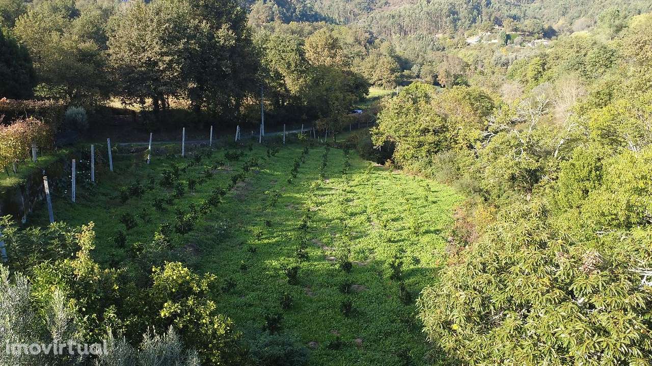 Terreno  para venda - Grande imagem: 3/12