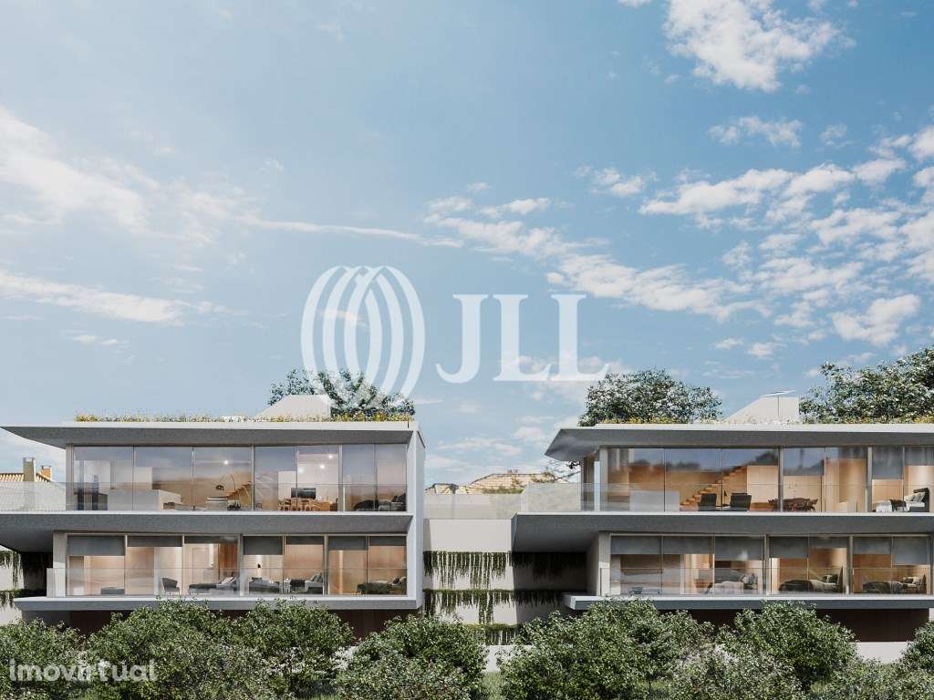 Tojas - Grande imagem: 1/9