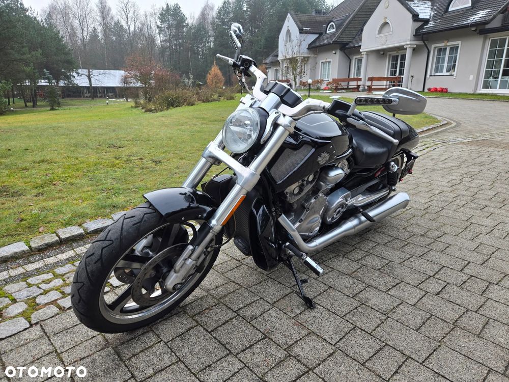 Harley-Davidson V-Rod Muscle - 13