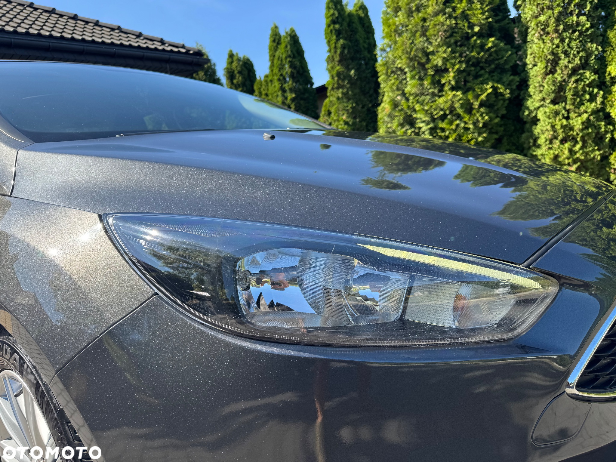Ford Focus 1.0 EcoBoost Gold X ASS - 14
