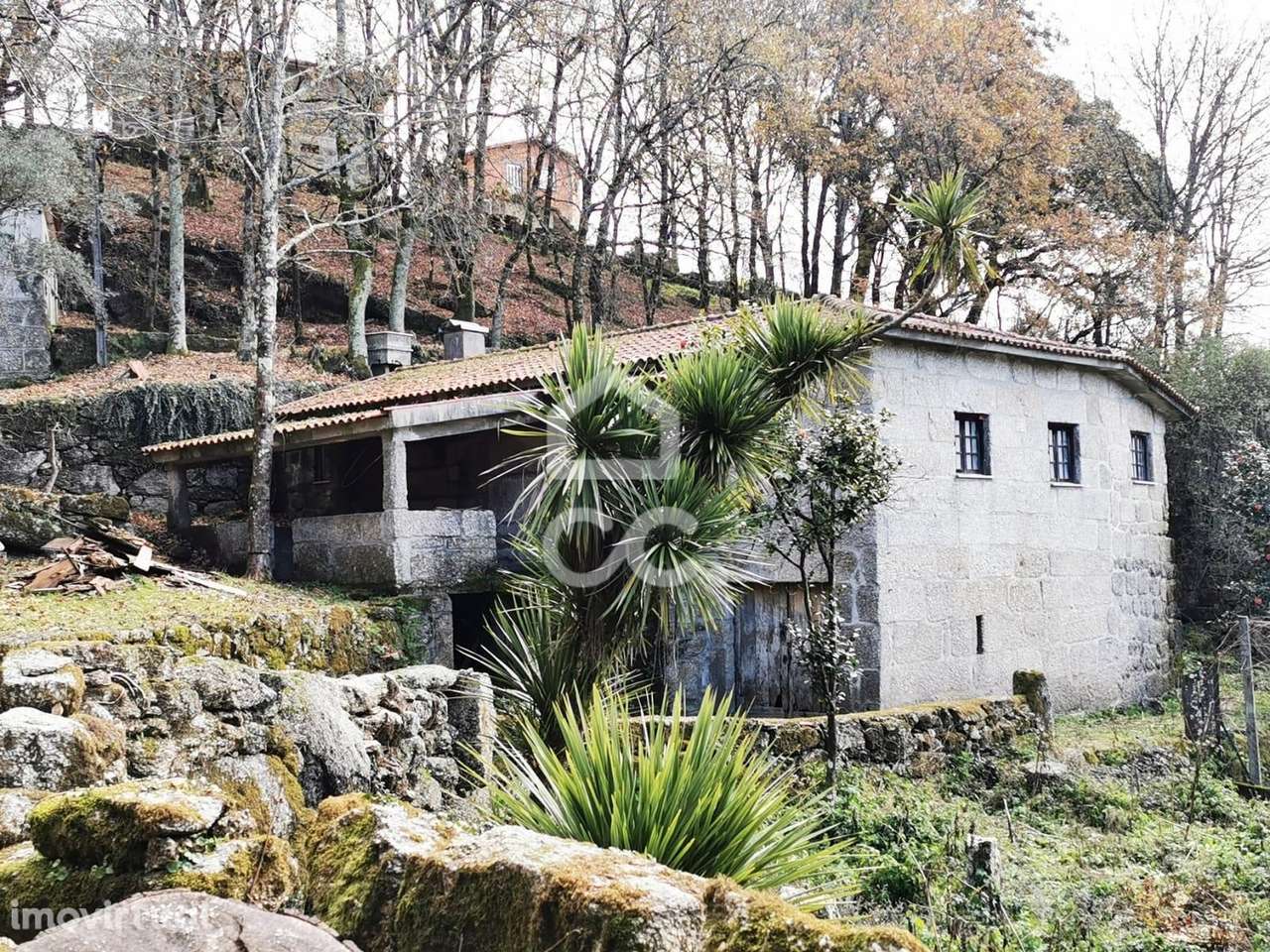 Quinta à venda em Rossas, Vieira do Minho - Grande imagem: 2/47