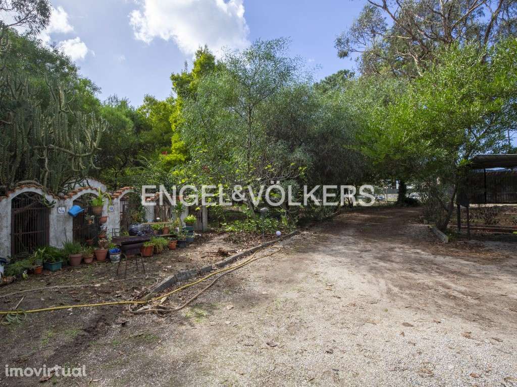 Terrenos em Fernão Ferro - Grande imagem: 3/25