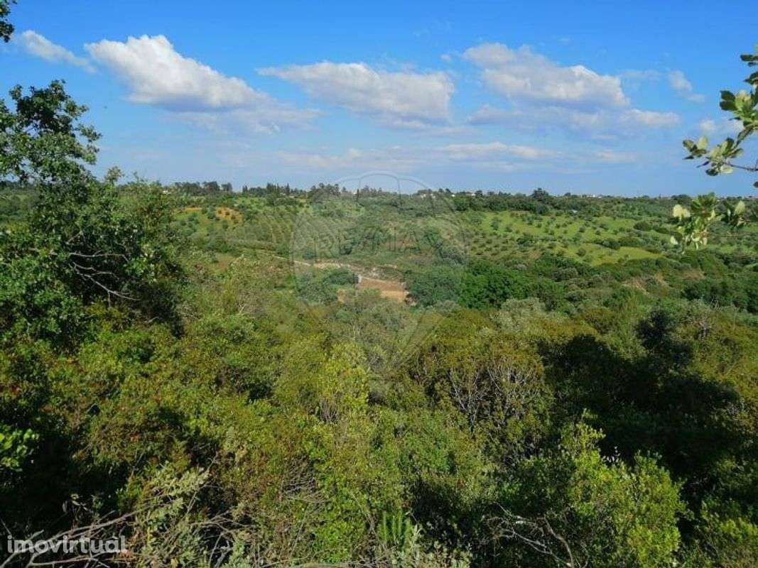 Terreno  para venda - Grande imagem: 5/5