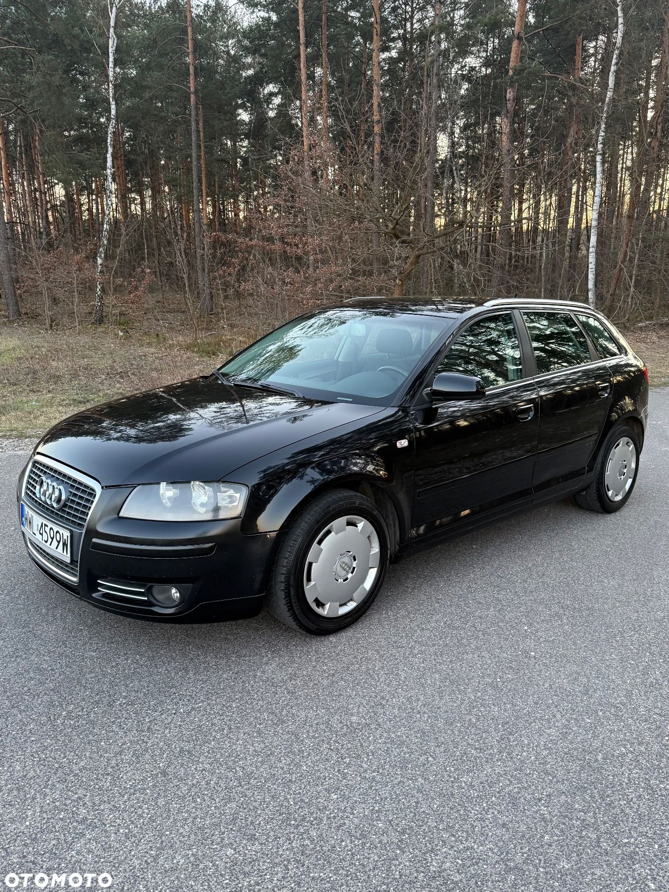 Audi A3 2.0 TDI DPF Ambition S tronic - 1