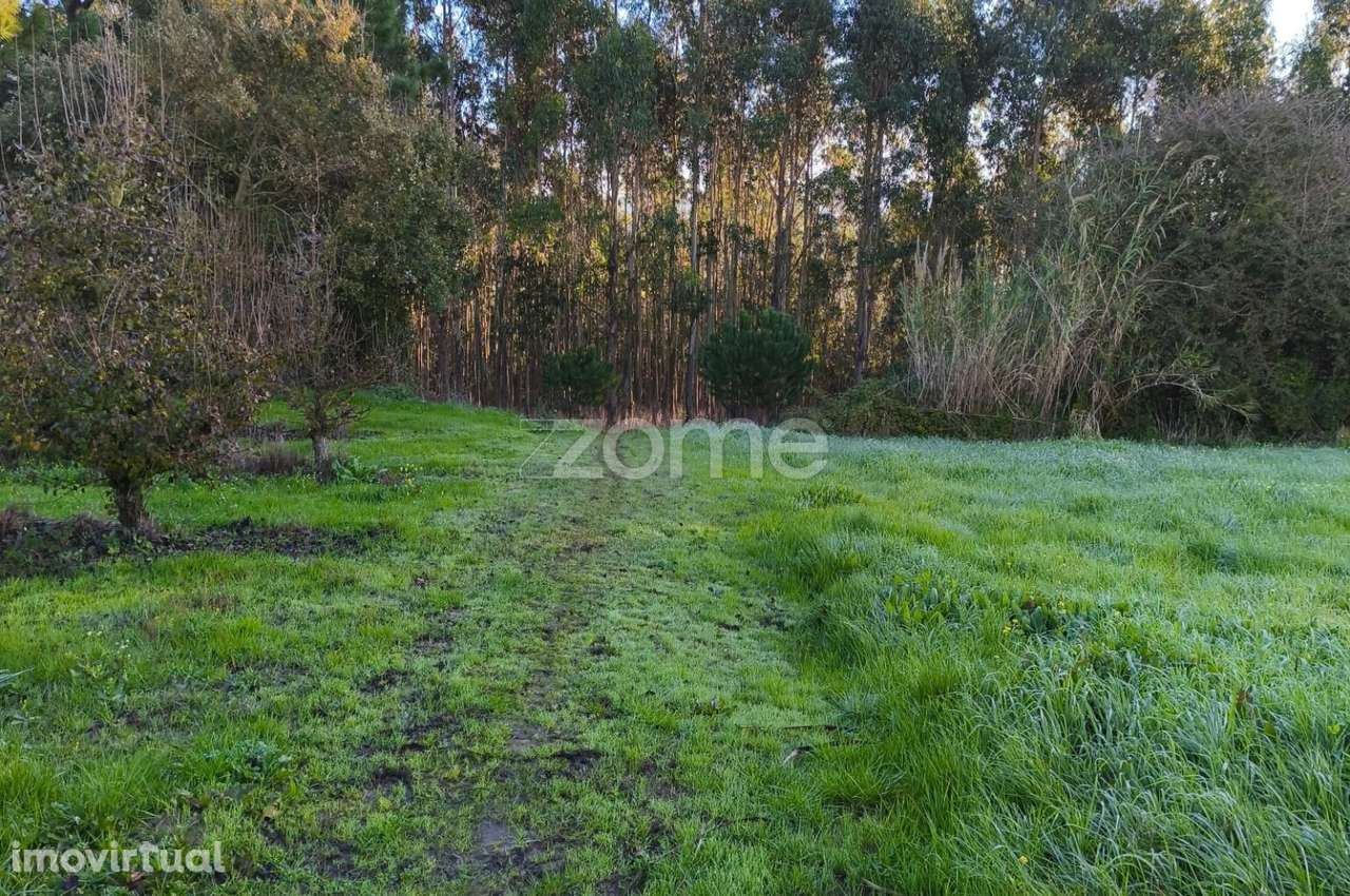 Terreno Urbanizável - Grande imagem: 3/24