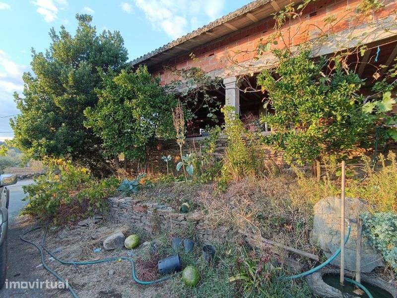 Quinta com 1,7 hectares e casa de 3 andares – Peredo, Macedo de Cavale - Grande imagem: 3/8