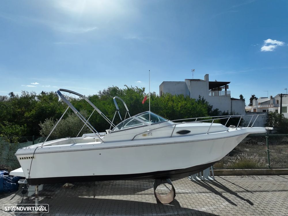 Pro-Line 220 Cuddy Fish - 1