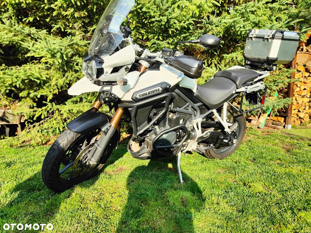Triumph Tiger - 4