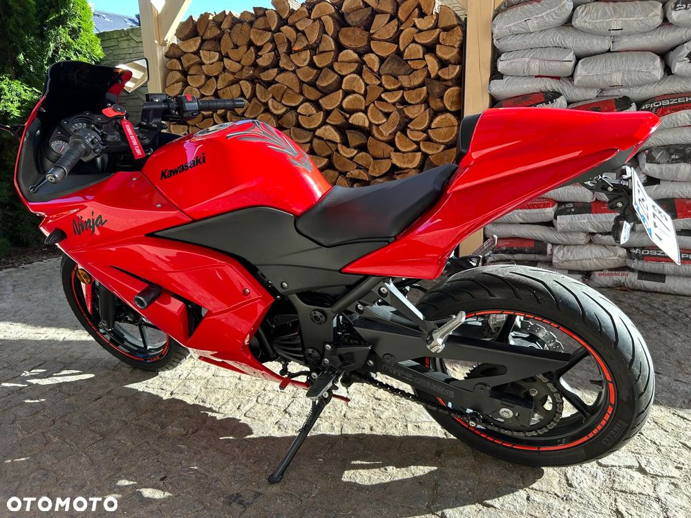 Kawasaki Ninja 250R - 5