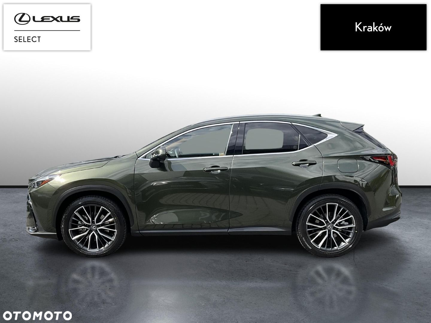 Lexus NX - 2