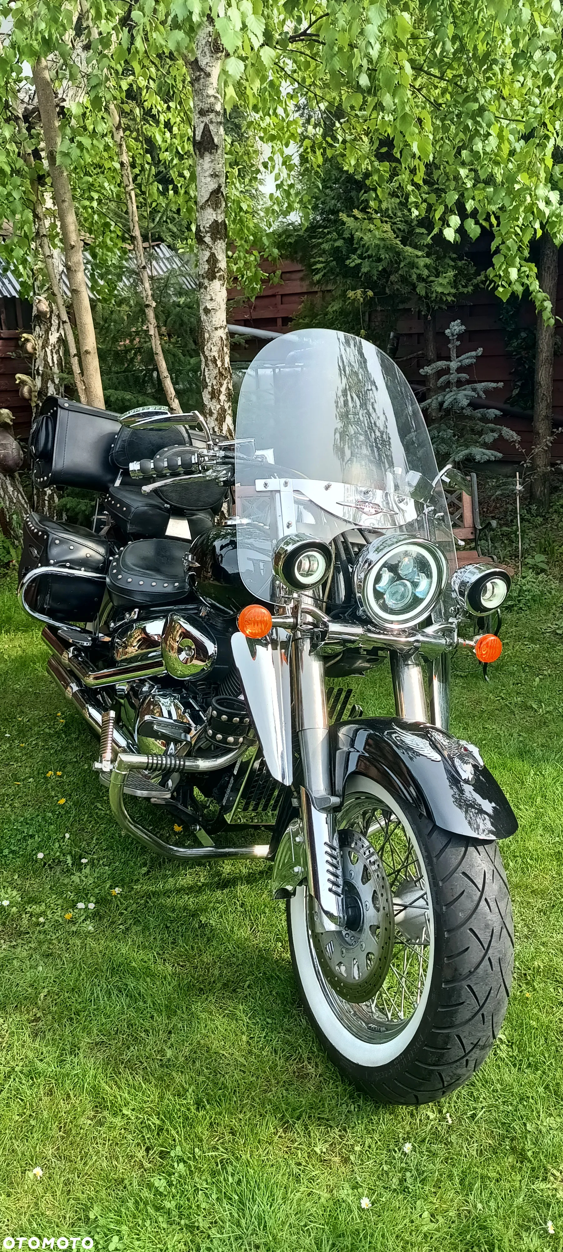 Suzuki VL 800 Volusia - Boulevard C50 - 8