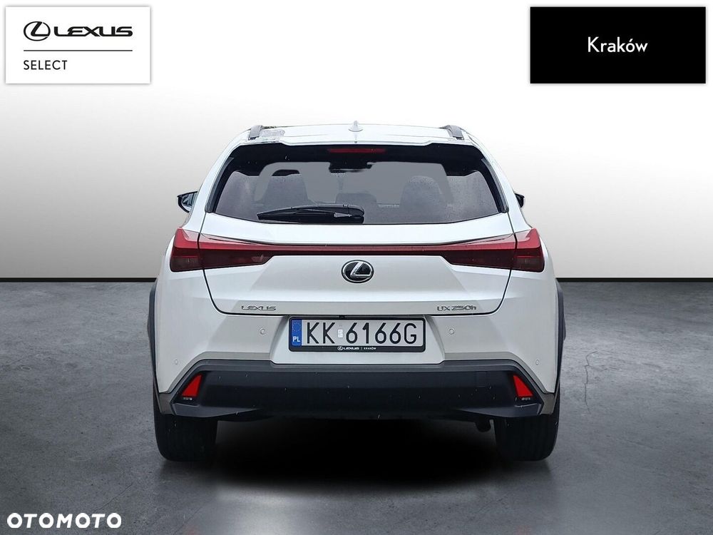 Lexus UX 250h GPF Business 2WD - 4