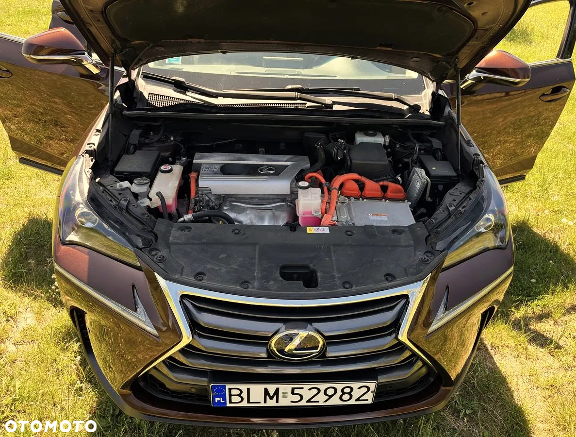 Lexus NX - 11