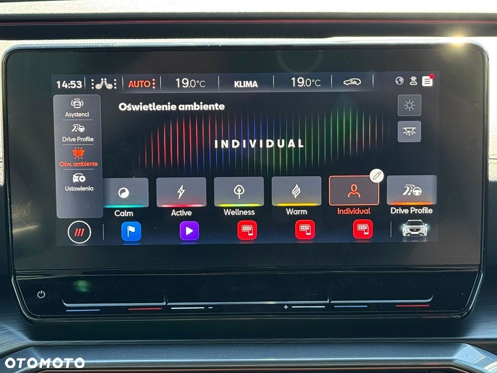Cupra Formentor 1.5 TSI DSG - 19