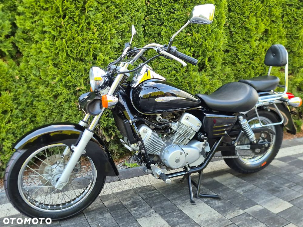 Honda Shadow - 4