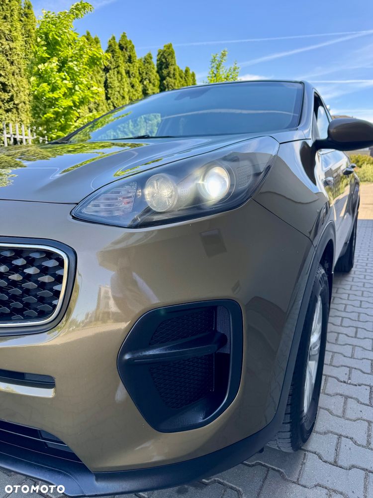 Kia Sportage 1.6 GDI Black Edition 2WD - 19