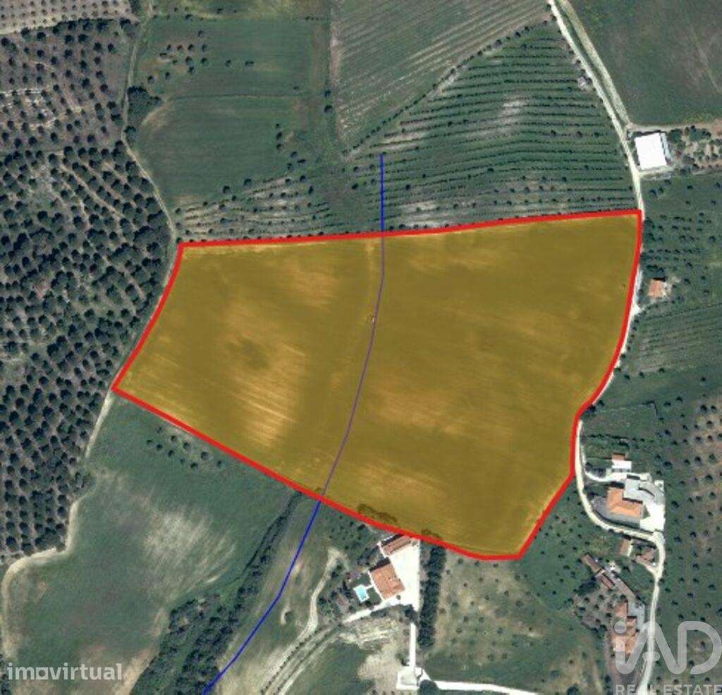 Terreno em Abitureiras - Grande imagem: 4/8