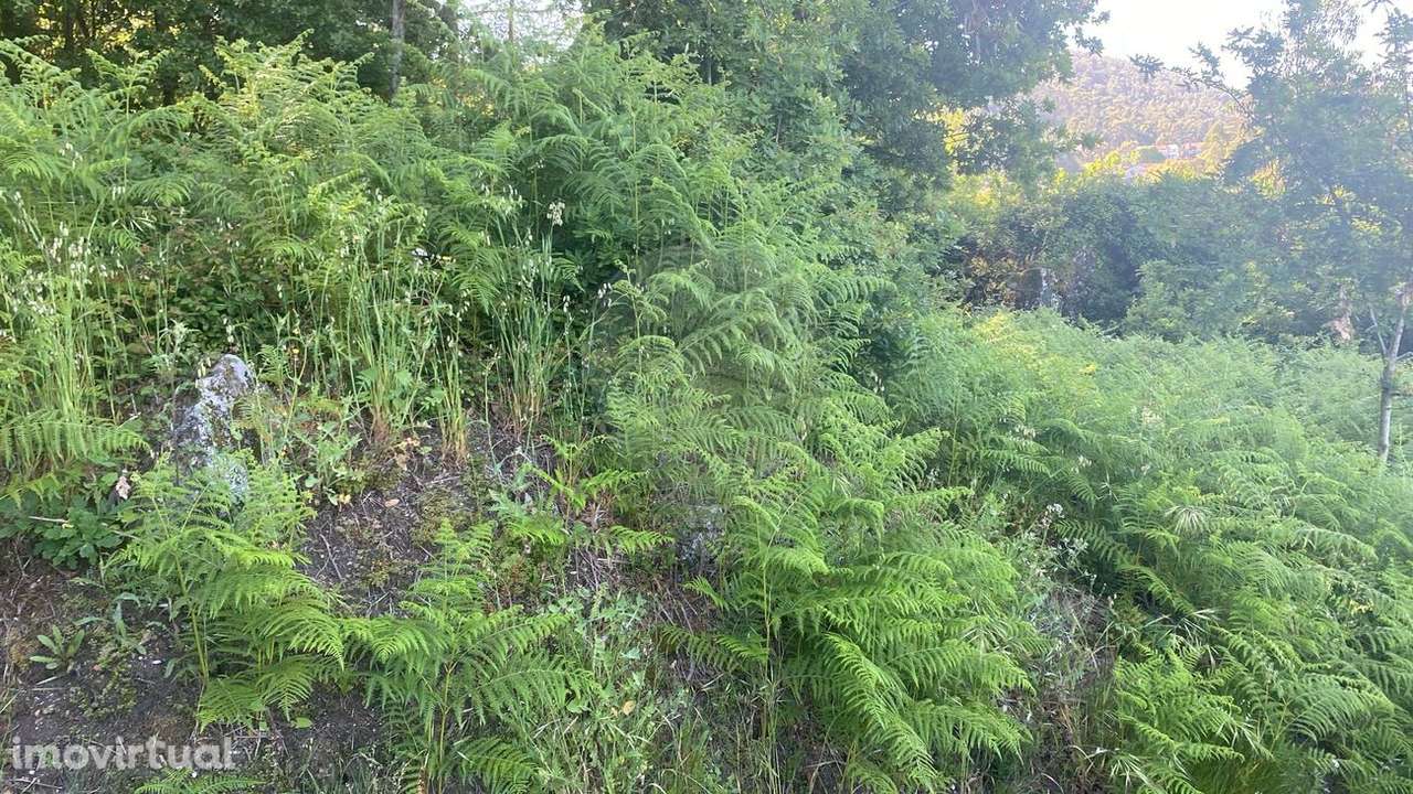 Terreno  para venda - Grande imagem: 3/4