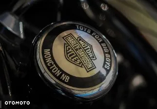 Harley-Davidson Softail Cross Bones - 14