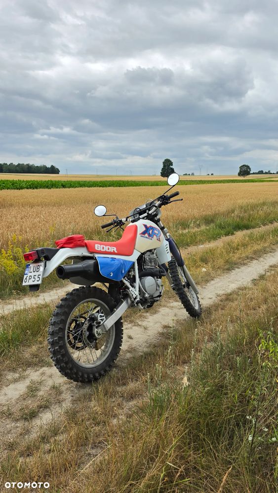 Honda XR - 6