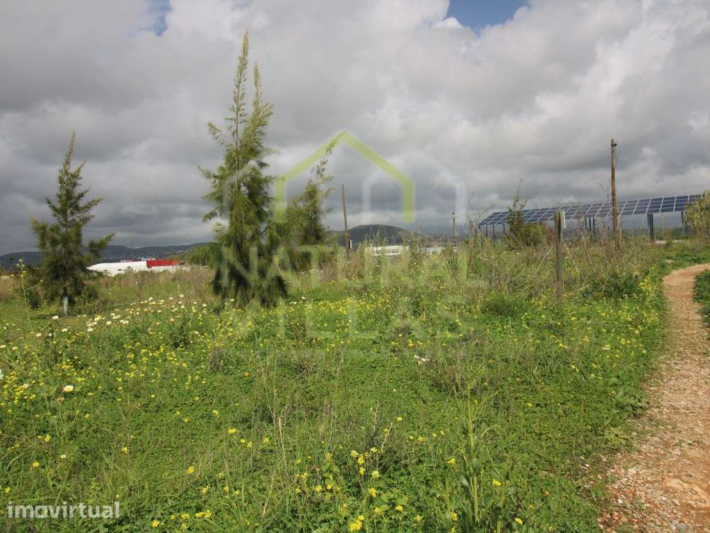 Terreno com Viabilidade Construtiva, Conceição de Faro - Grande imagem: 5/8