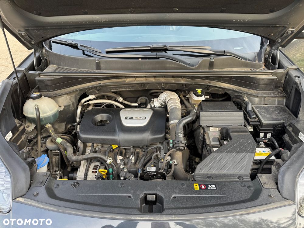 Kia Sportage 1.6 T-GDI Black Edition 2WD - 24