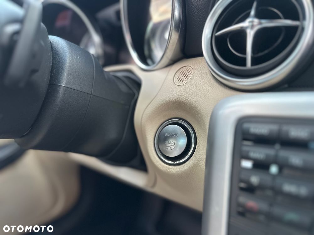 Mercedes-Benz SLK 250 (BlueEFFICIENCY) 7G-TRONIC - 20