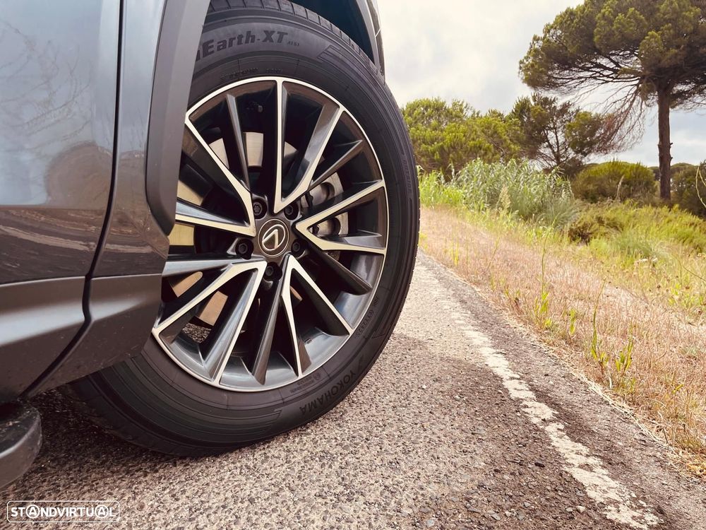 Lexus NX 450h+ Executive - 33
