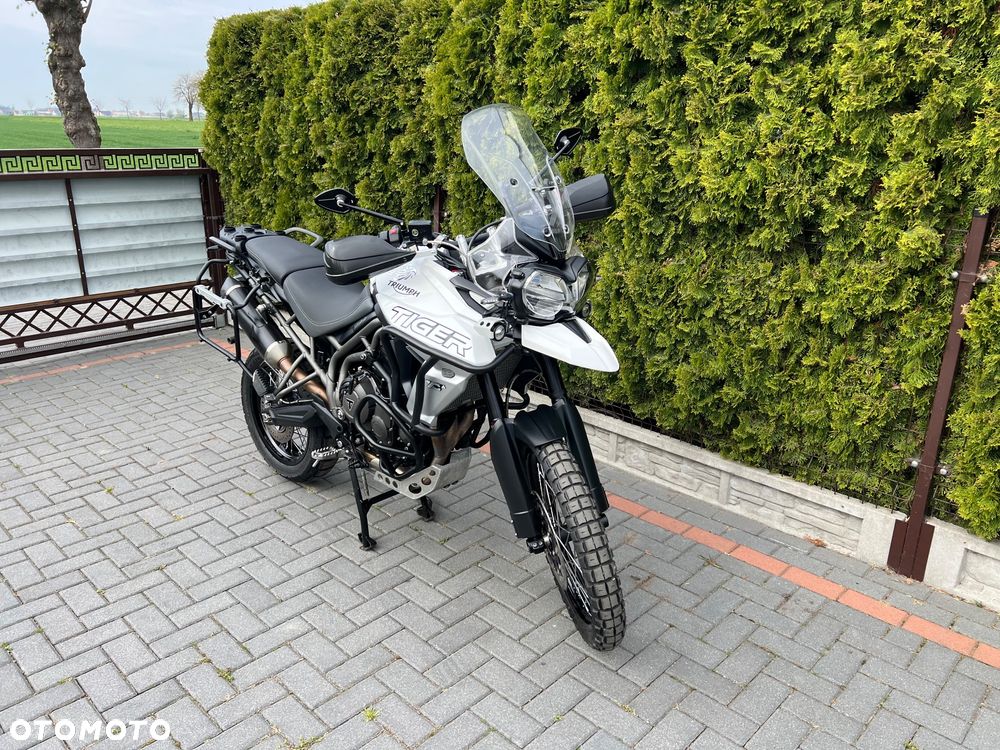 Triumph Tiger - 15