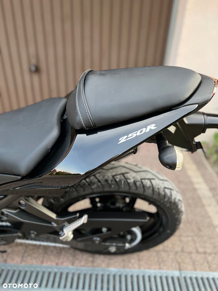 Kawasaki Ninja 250R - 21