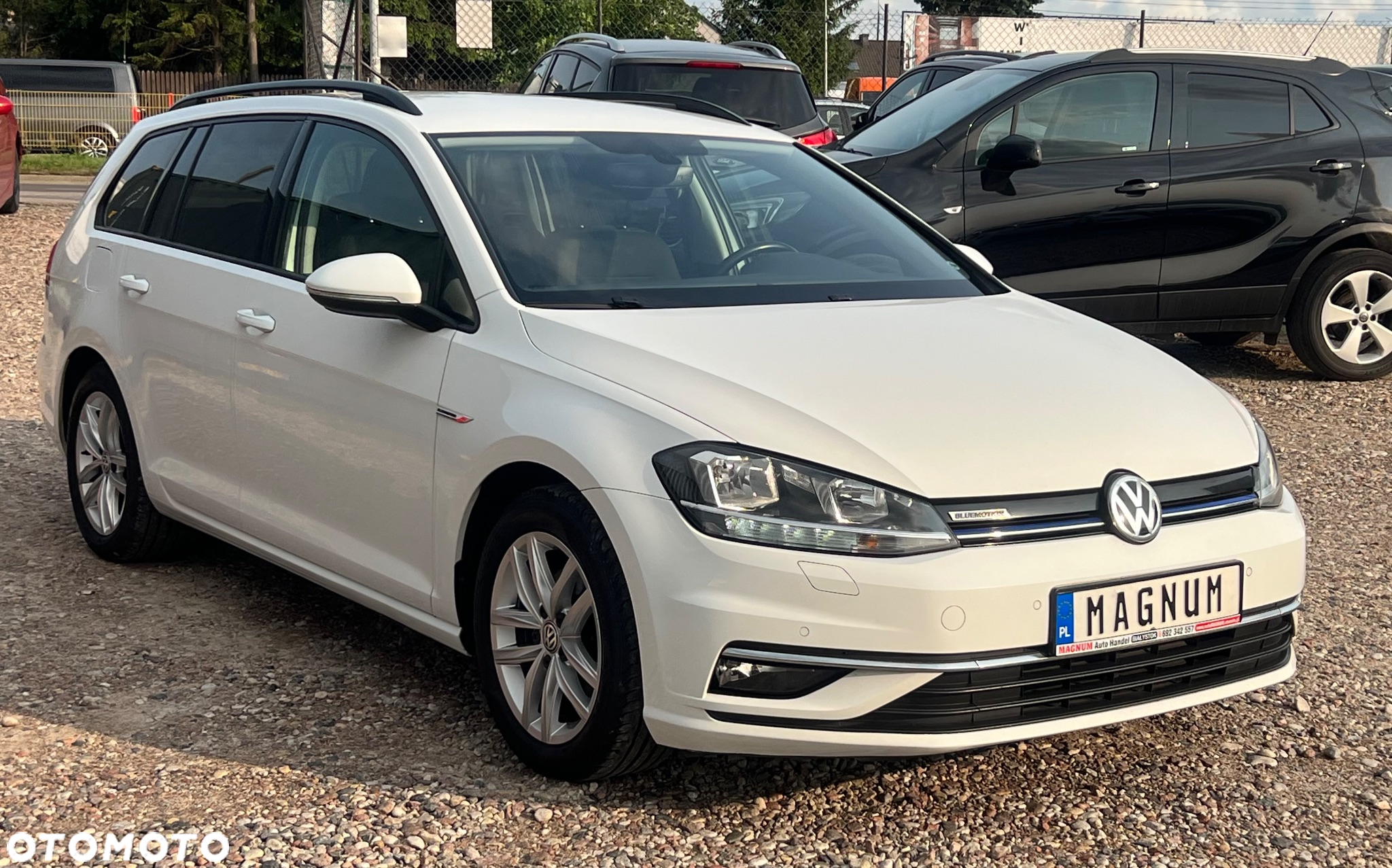 Volkswagen Golf VIII 1.5 TSI EVO Style - 2