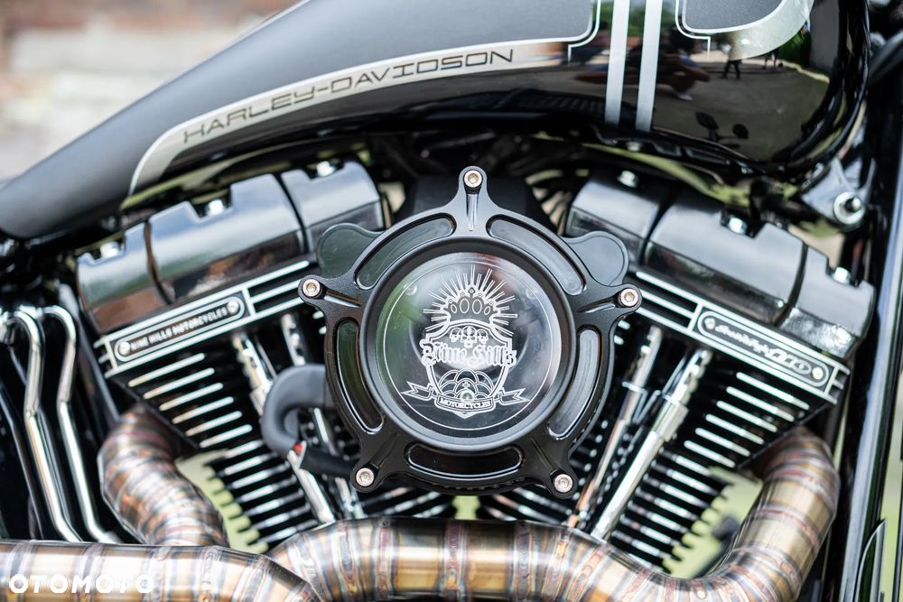 Harley-Davidson Softail Slim - 29