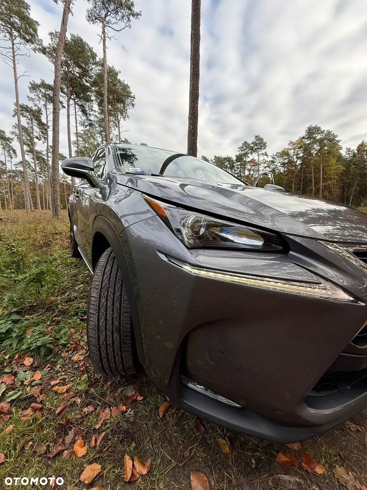 Lexus NX - 19