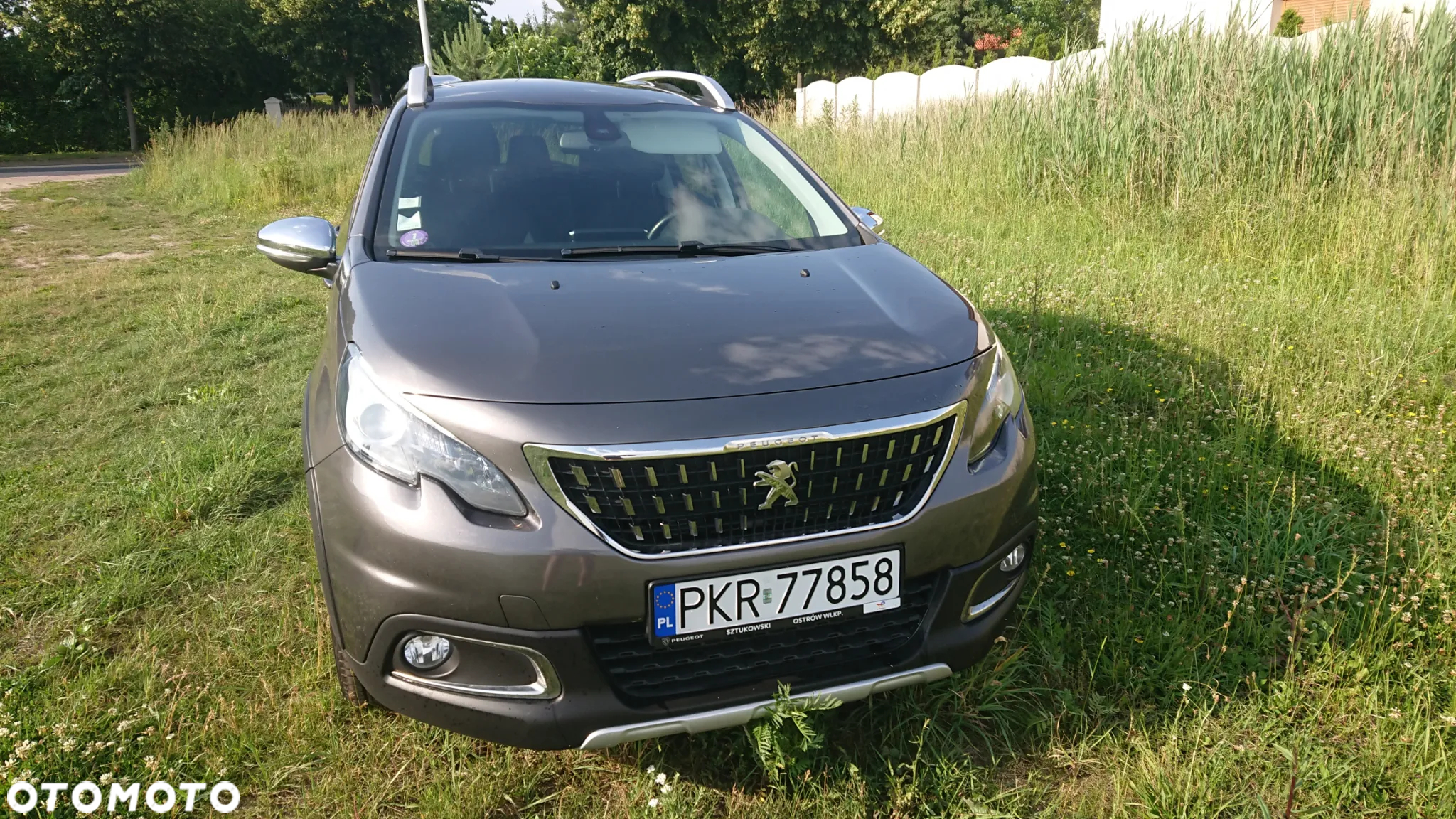 Peugeot 2008 - 13