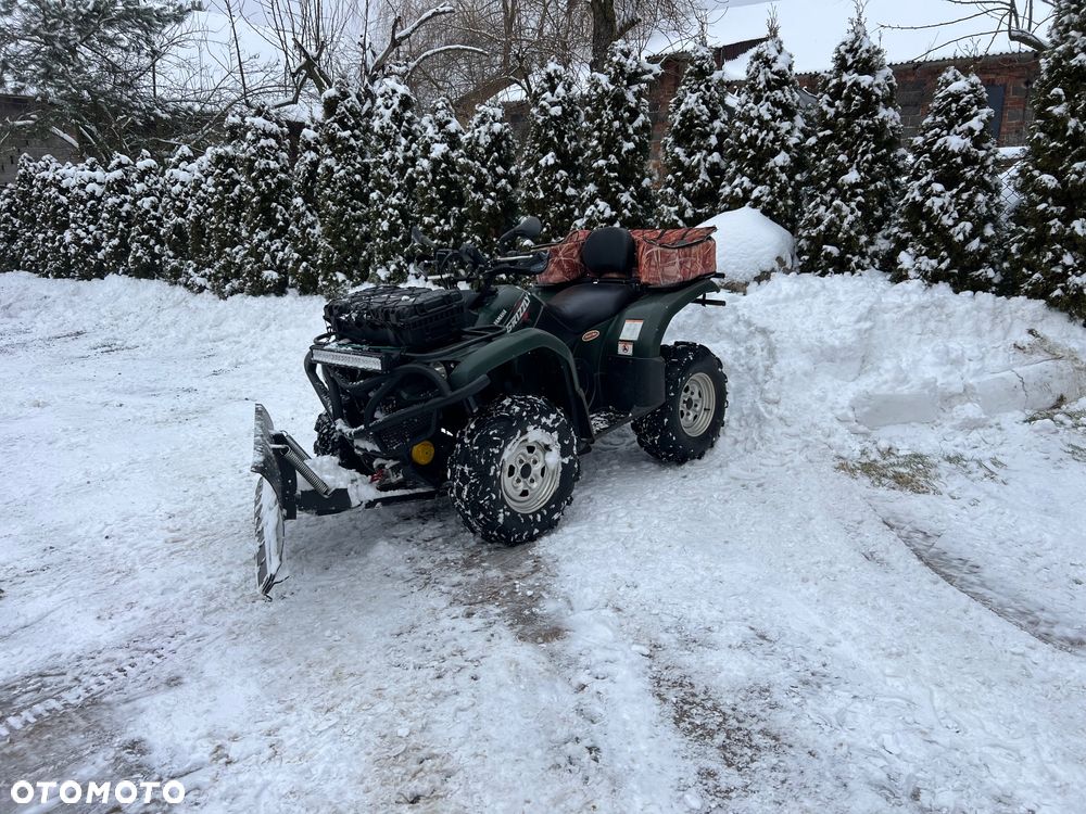 Yamaha Grizzly - 21