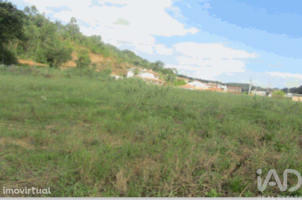 Terreno para construção em Taveiro, Ameal e Arzila - Grande imagem: 4/4